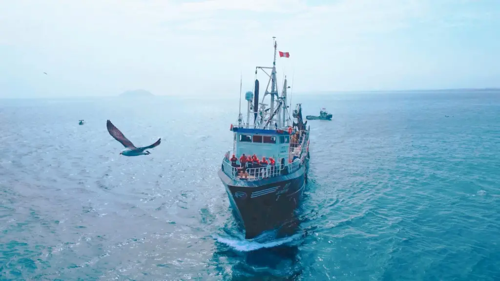 Peruvian anchovy fishing vessel at sea