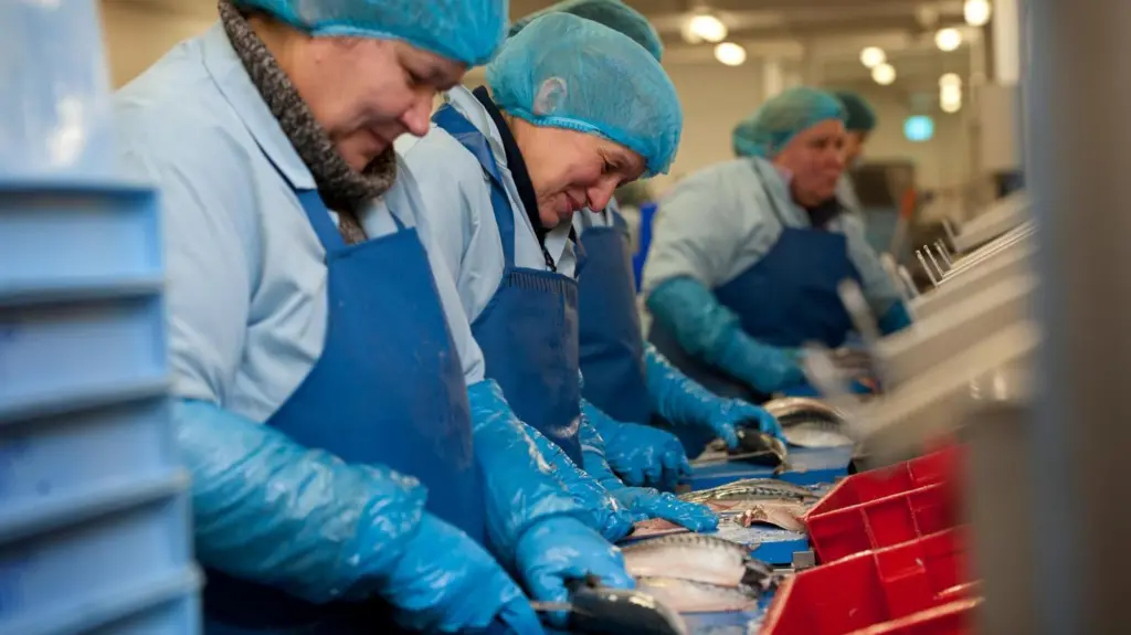 UK Processing, Seafish