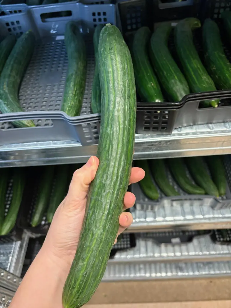 Marea ICEBOREA coated cucumber