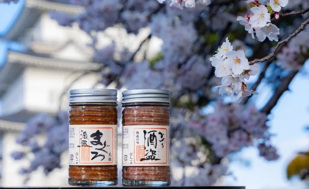 Shuto cherry blossoms Odawara Castle