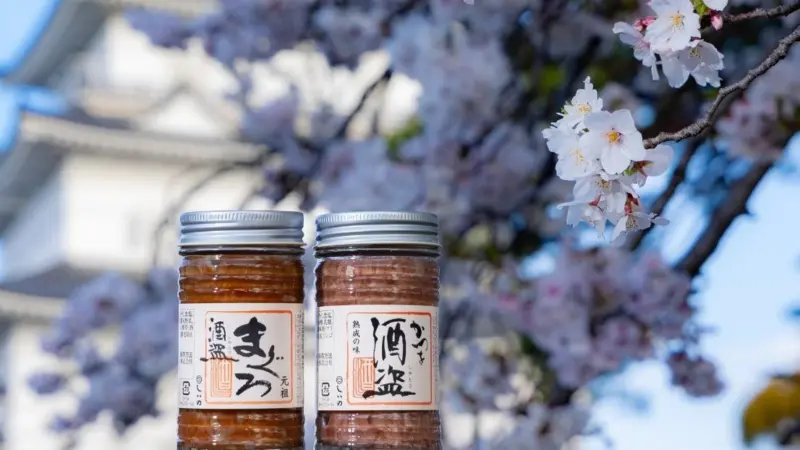 Shuto cherry blossoms Odawara Castle