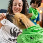 Julia Kurnik feeds a dog a treat made from invasive carp at the Humane Rescue Alliance in Washington DC