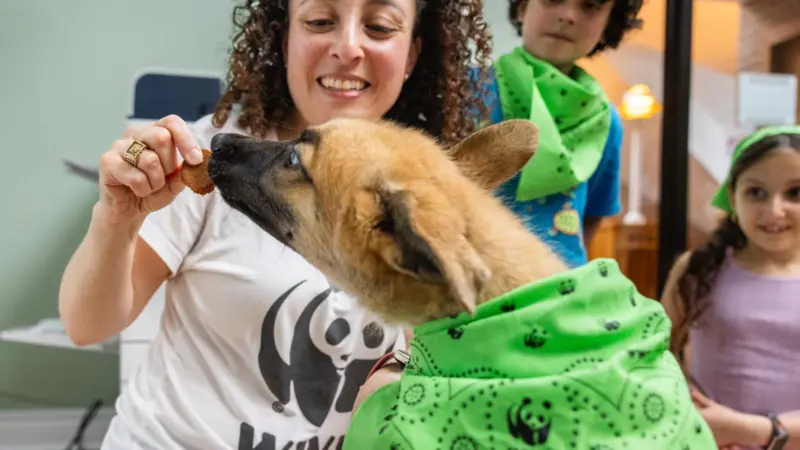 Julia Kurnik feeds a dog a treat made from invasive carp at the Humane Rescue Alliance in Washington DC