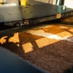 Sludge collecting in BioSieze system