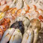 A generic picture of seafood