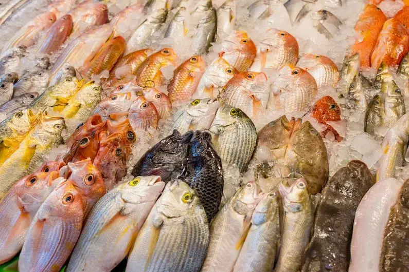 A generic picture of seafood