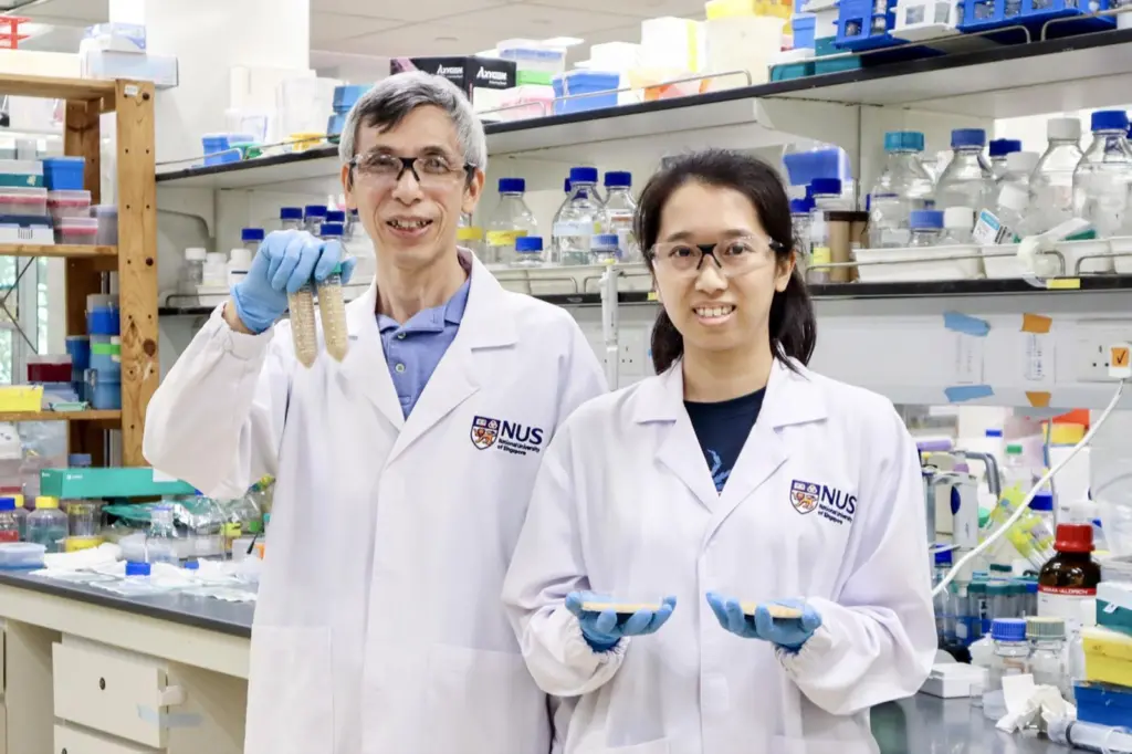 Prof Yang Daiwen (left) and Ms Hong Hui Yee (right) from the NUS Department of Biological Sciences