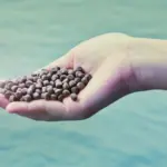 Fishmeal