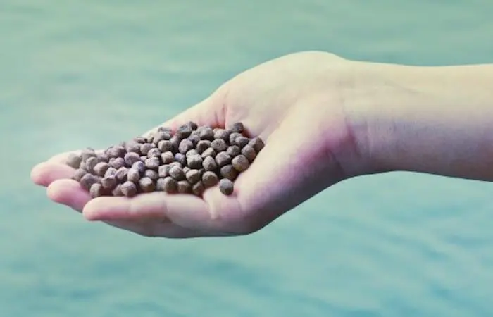 Fishmeal