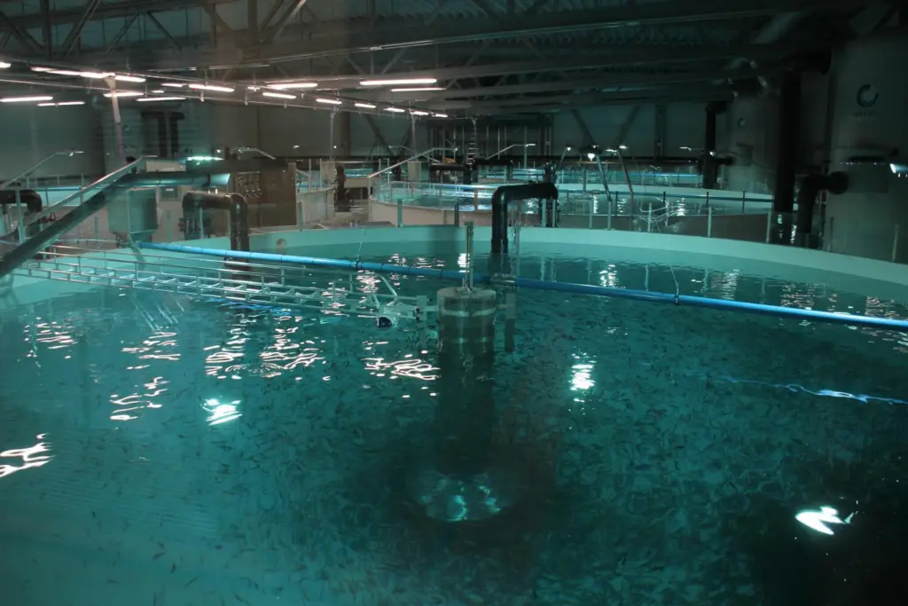 land-based aquaculture pen