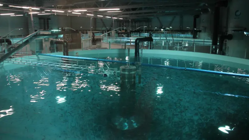 land-based aquaculture pen