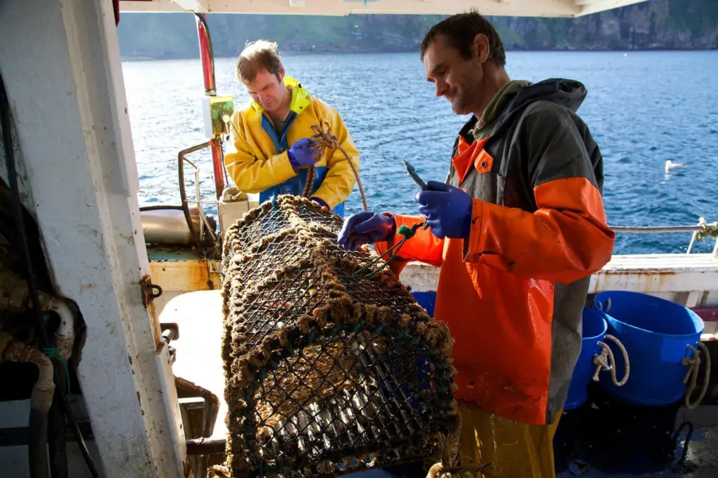 NSF Community Catch Orkney Crab