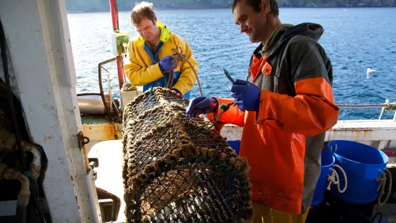 NSF Community Catch Orkney Crab