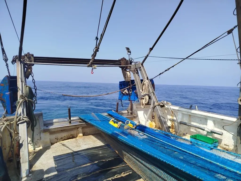 trawl doors
