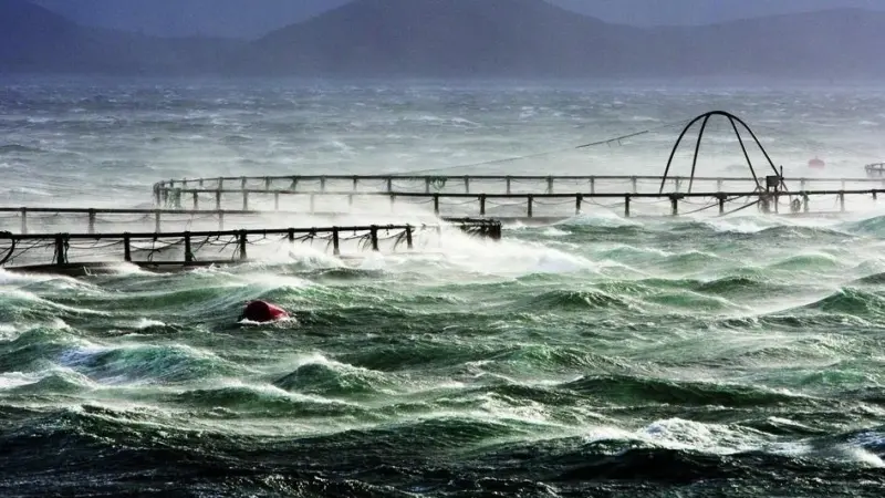 fish pen at sea