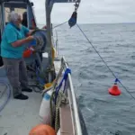 Smart Ocean buoy lowered into water