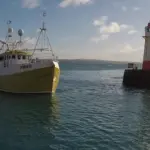 UK fishing