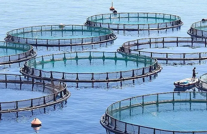 Fish farm