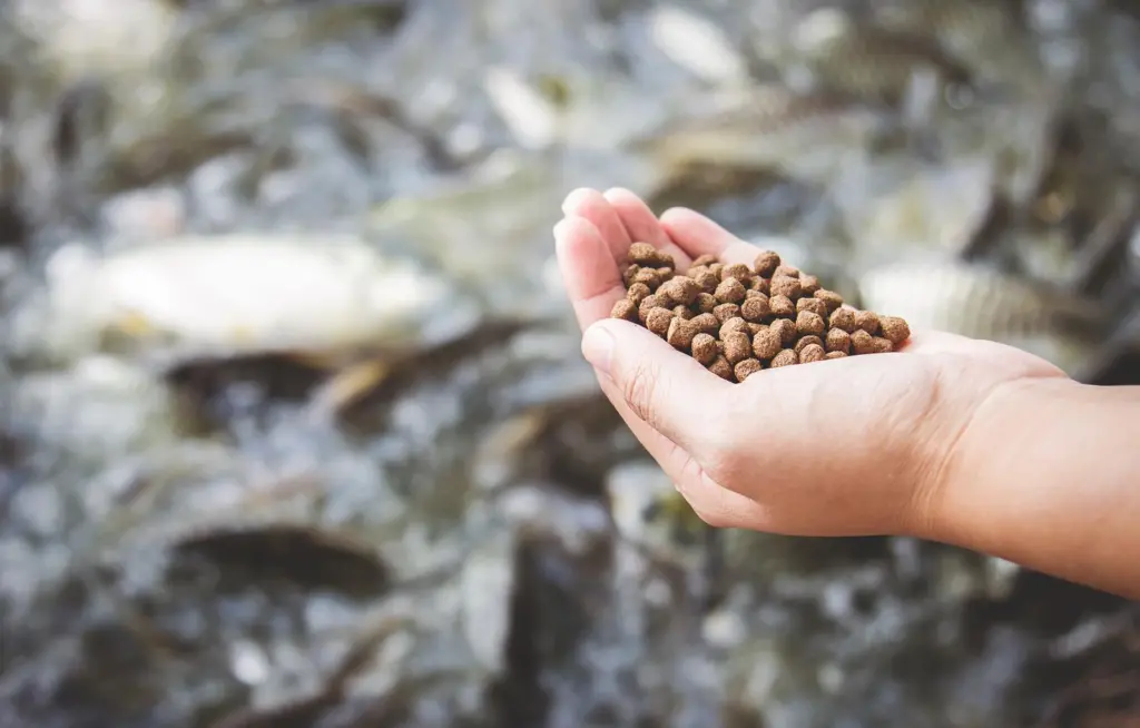 Aquafeeds