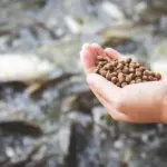 Aquafeeds