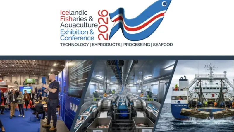 IceFIsh 2026