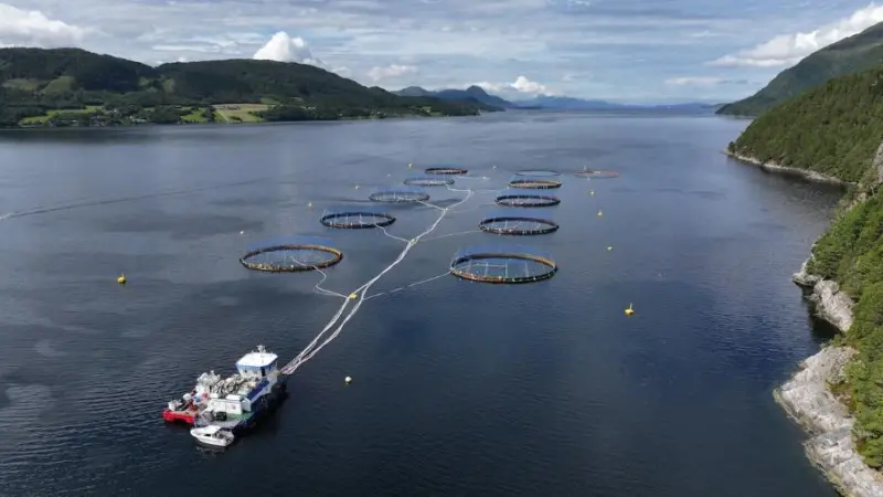 Fish pens at sea