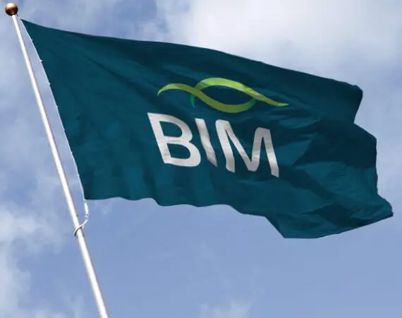 bim-7.2