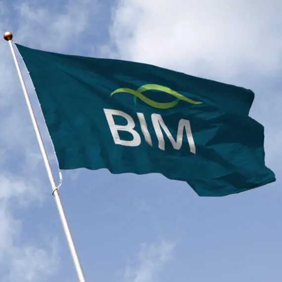 bim-7.2