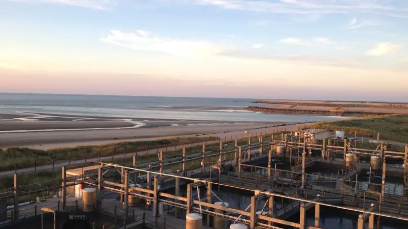 Gloria Maris seabream and seabass farm